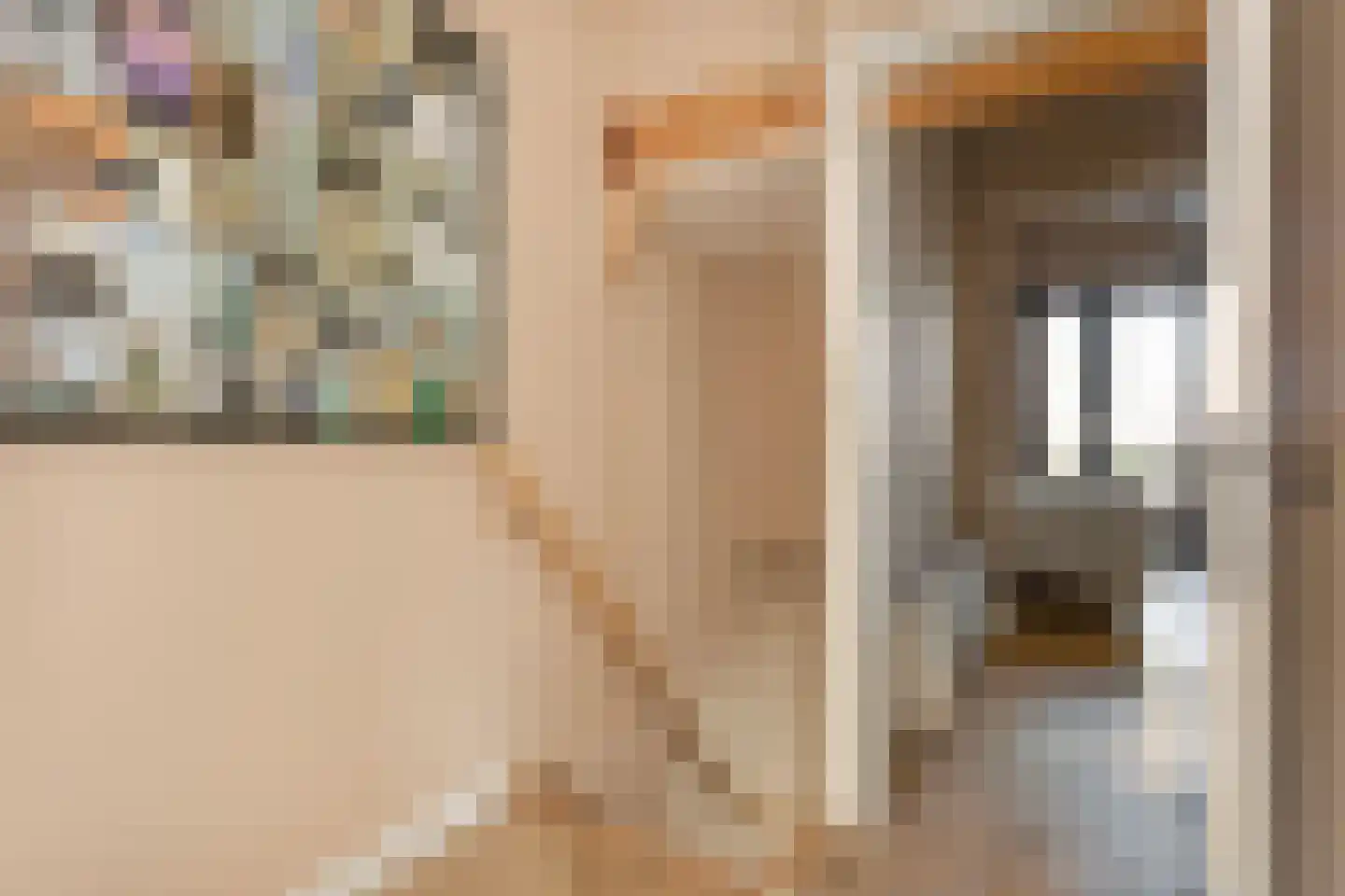 Groenewoudseweg 11 Cothen thumbnail 27