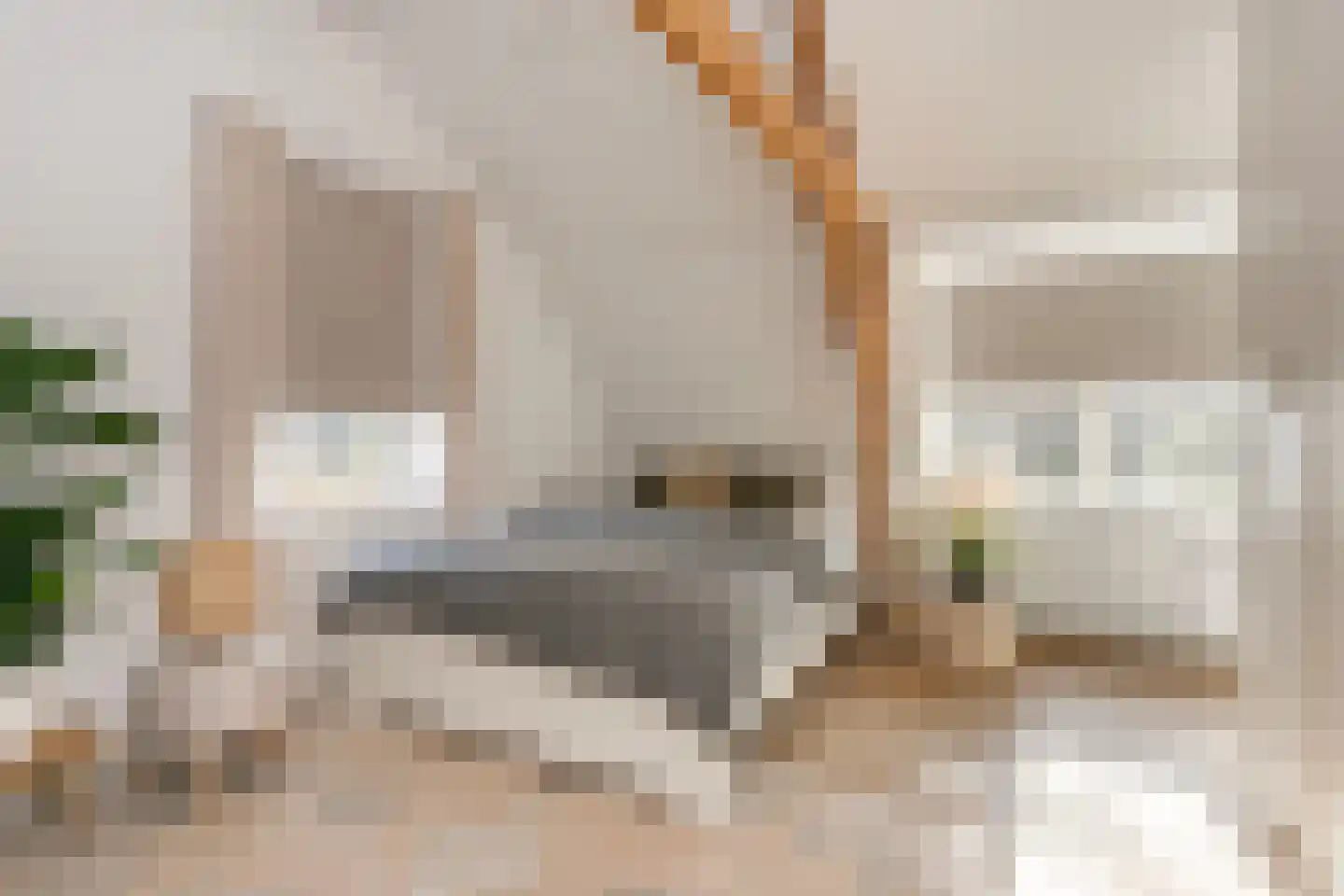 Groenewoudseweg 11 Cothen thumbnail 34