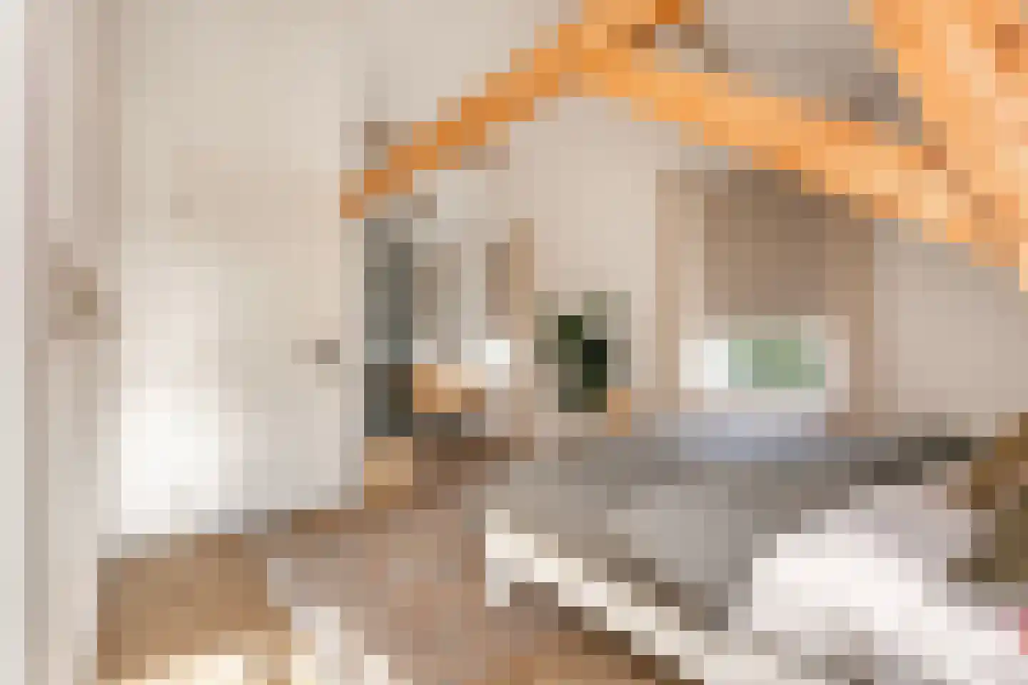 Groenewoudseweg 11 Cothen thumbnail 37