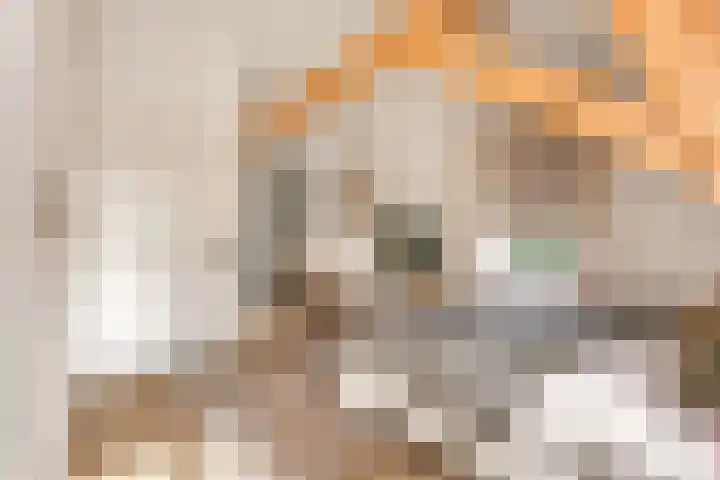 Groenewoudseweg 11 Cothen thumbnail 37