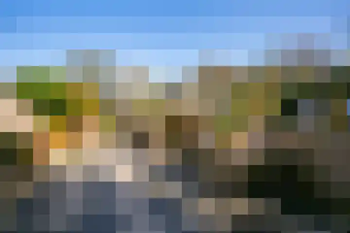 Groenewoudseweg 11 Cothen thumbnail 42