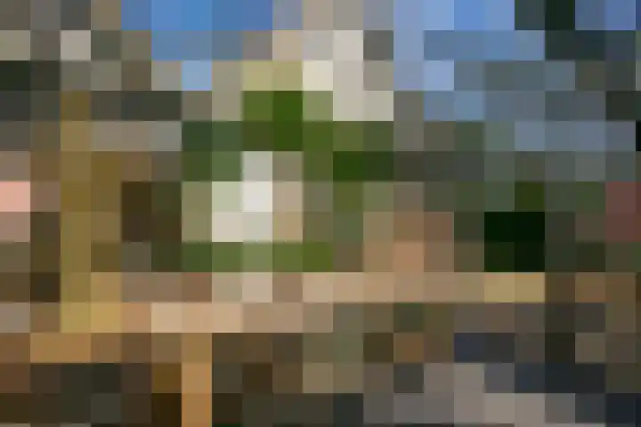 Groenewoudseweg 11 Cothen thumbnail 45