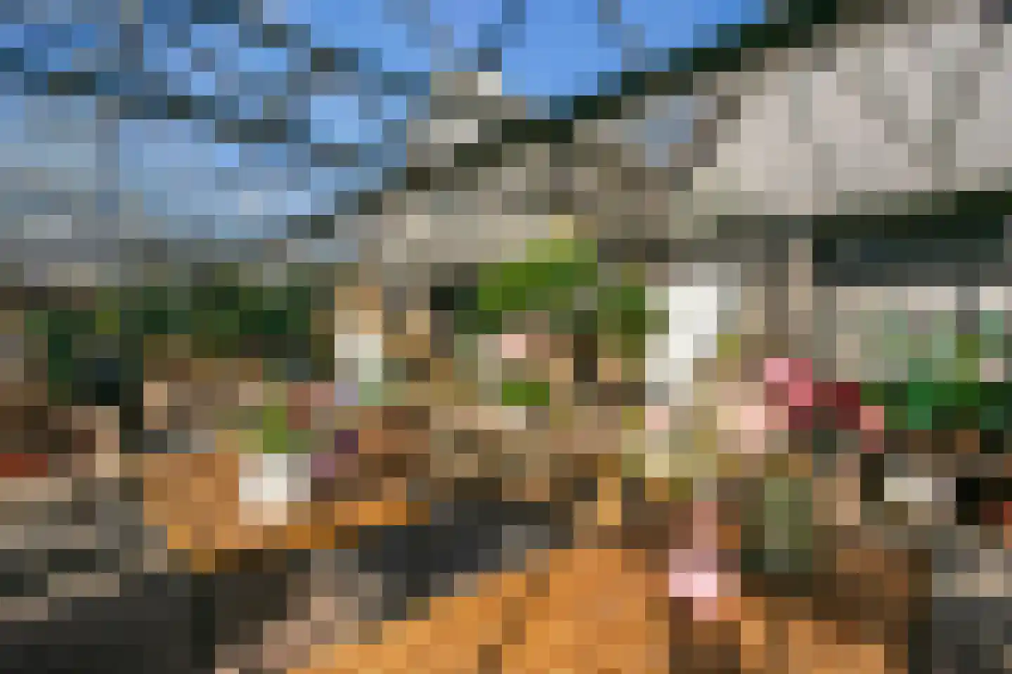 Groenewoudseweg 11 Cothen thumbnail 46