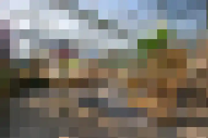 Groenewoudseweg 11 Cothen thumbnail 47