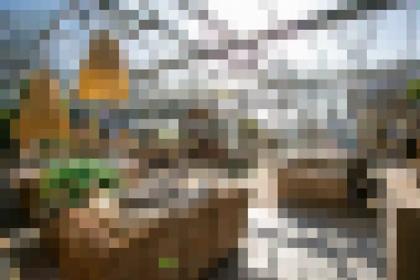 Groenewoudseweg 11 Cothen thumbnail 5