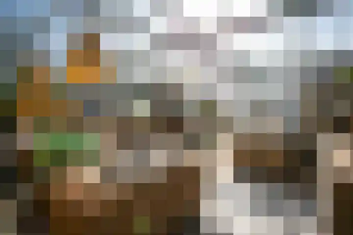 Groenewoudseweg 11 Cothen thumbnail 5