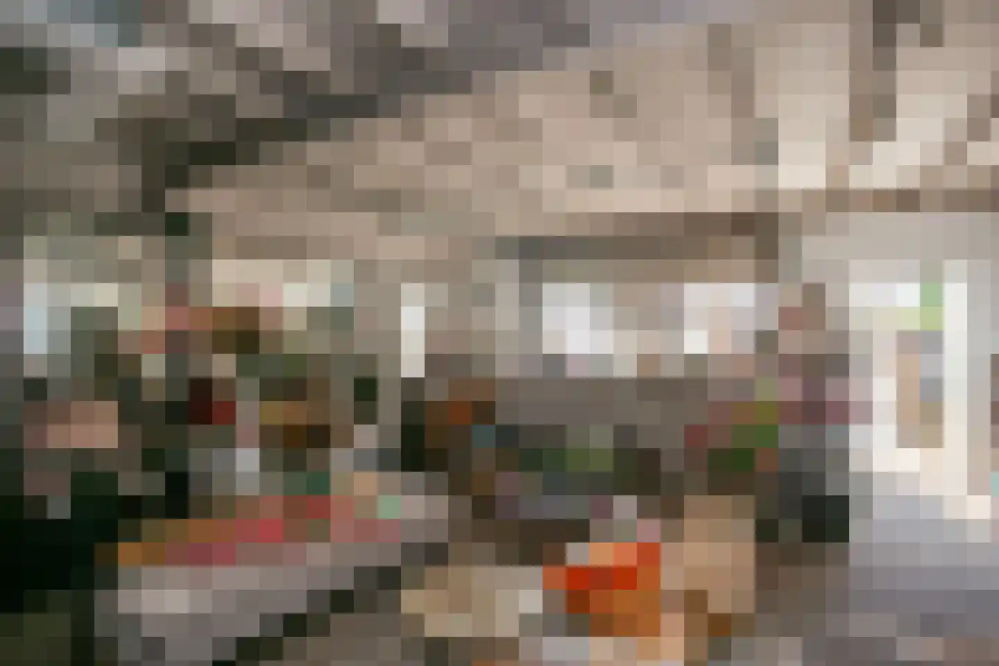 Groenewoudseweg 11 Cothen thumbnail 50