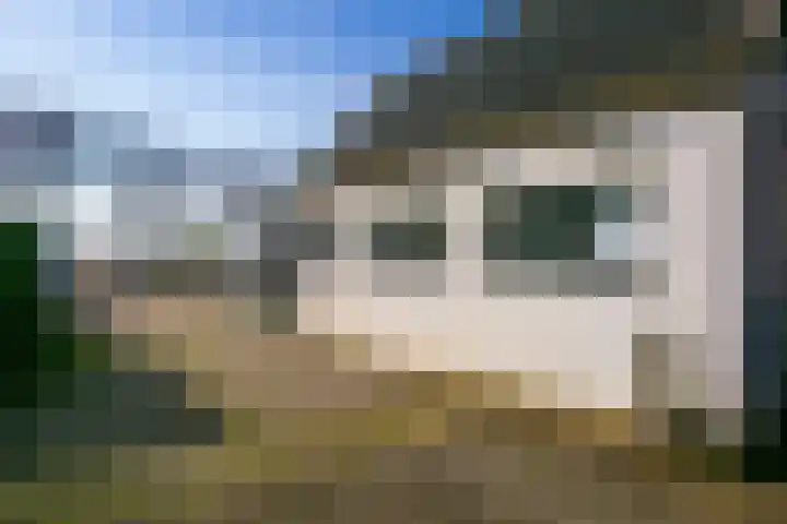 Groenewoudseweg 11 Cothen thumbnail 56
