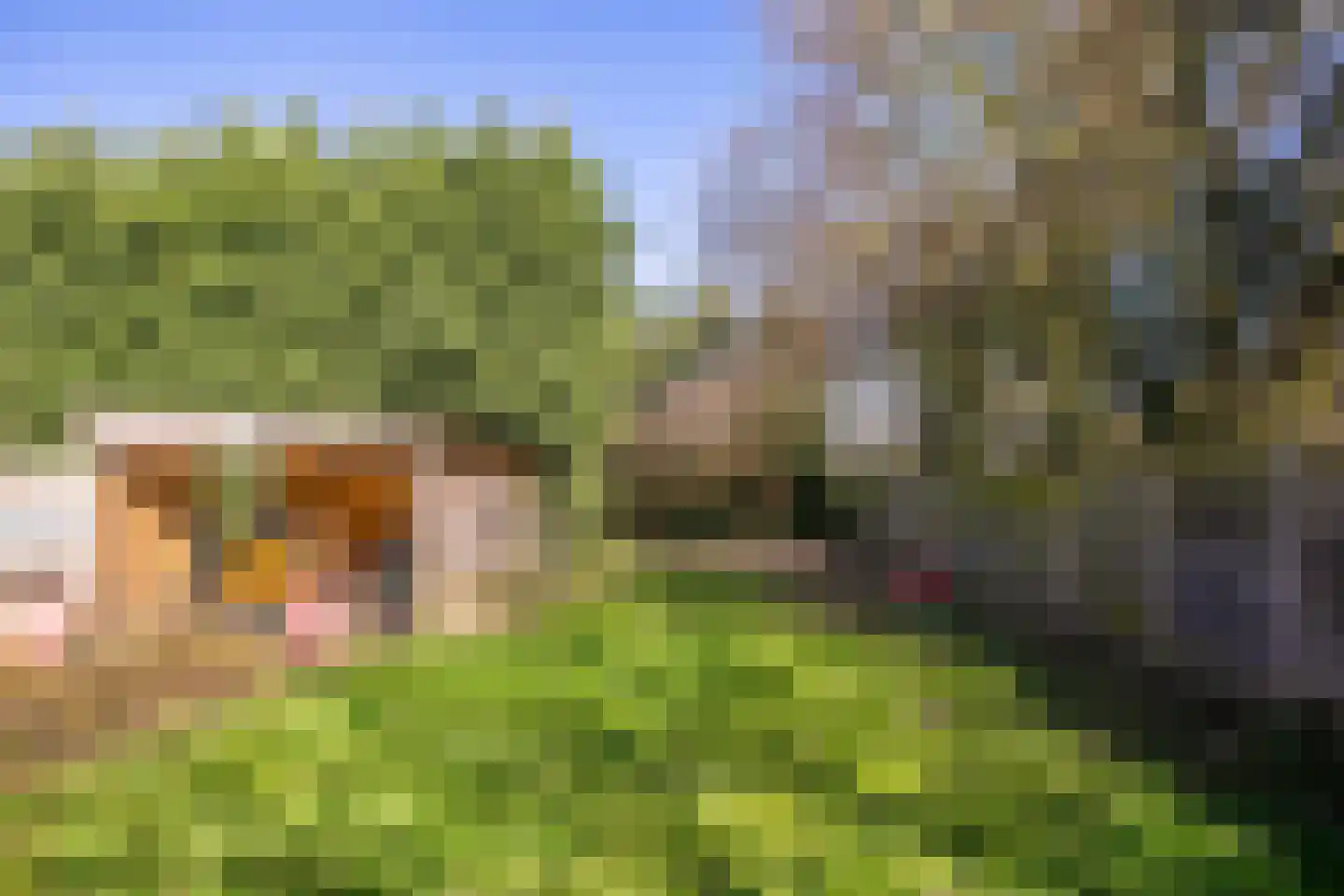 Groenewoudseweg 11 Cothen thumbnail 57