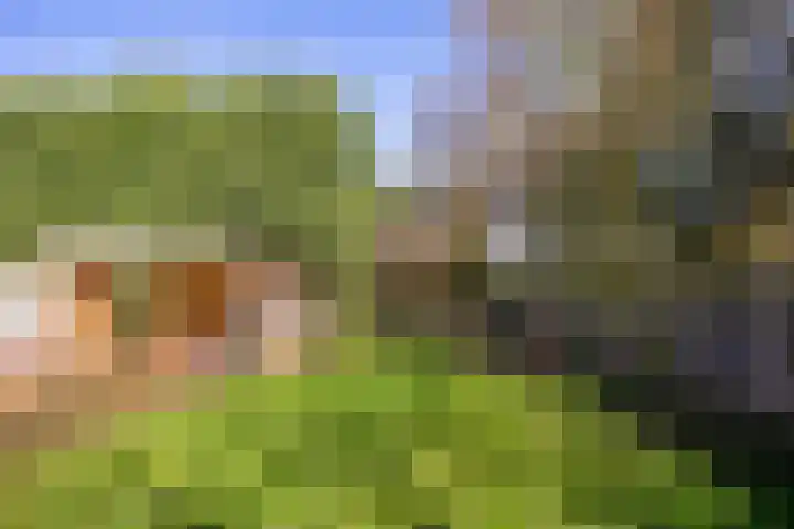 Groenewoudseweg 11 Cothen thumbnail 57