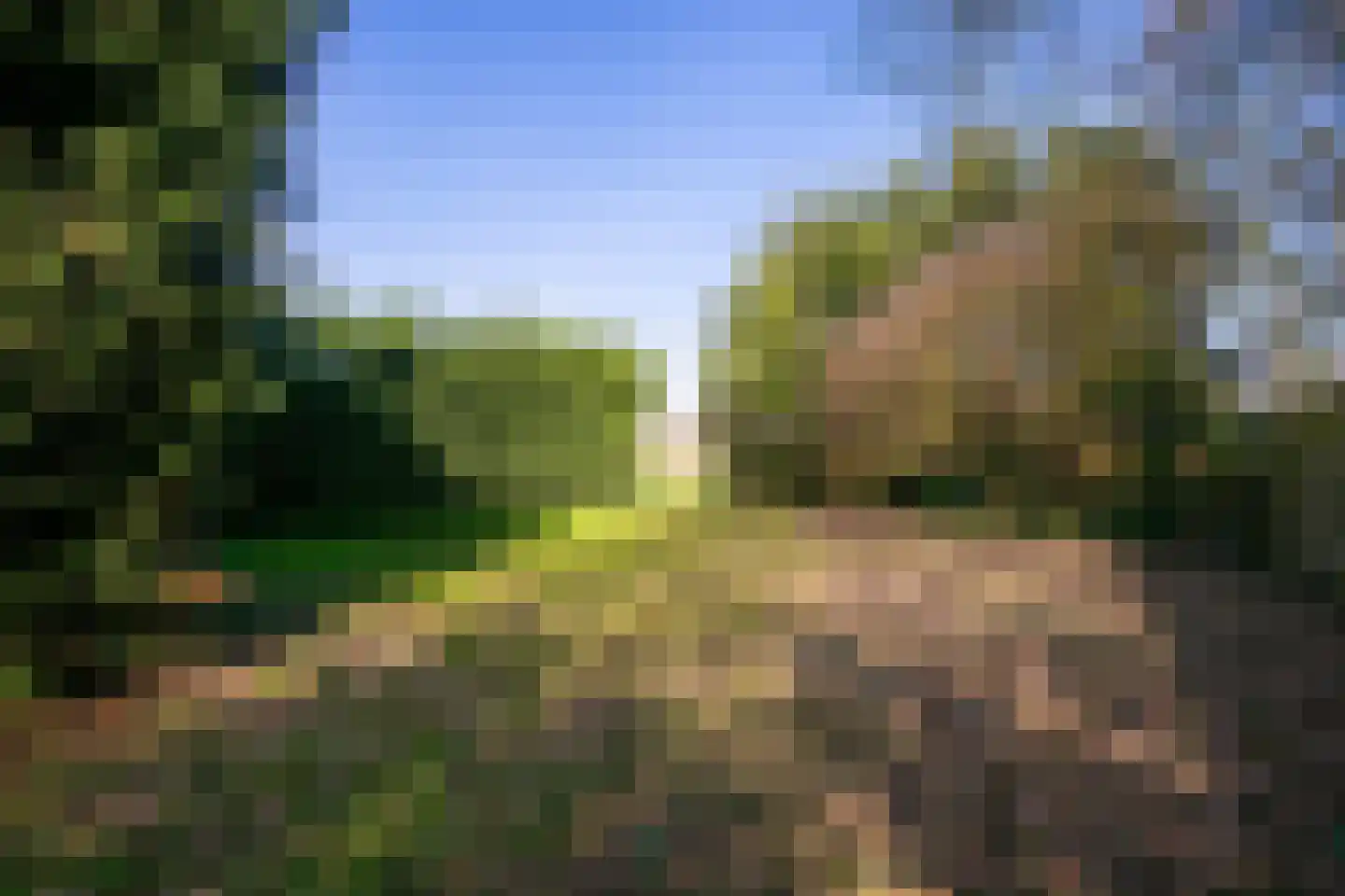 Groenewoudseweg 11 Cothen thumbnail 58