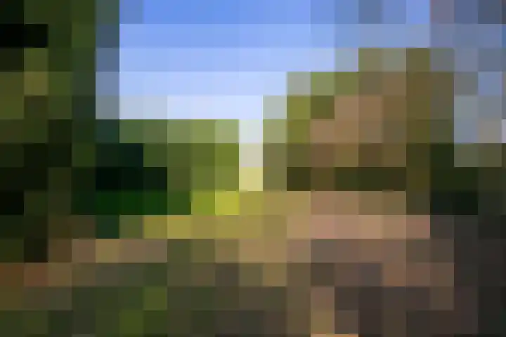 Groenewoudseweg 11 Cothen thumbnail 58