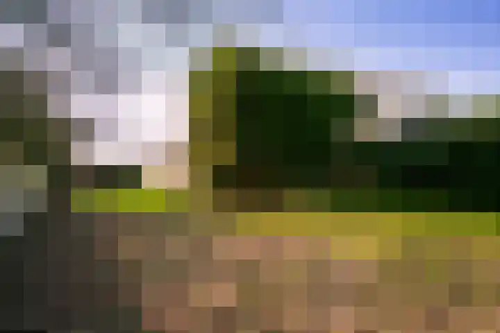 Groenewoudseweg 11 Cothen thumbnail 59
