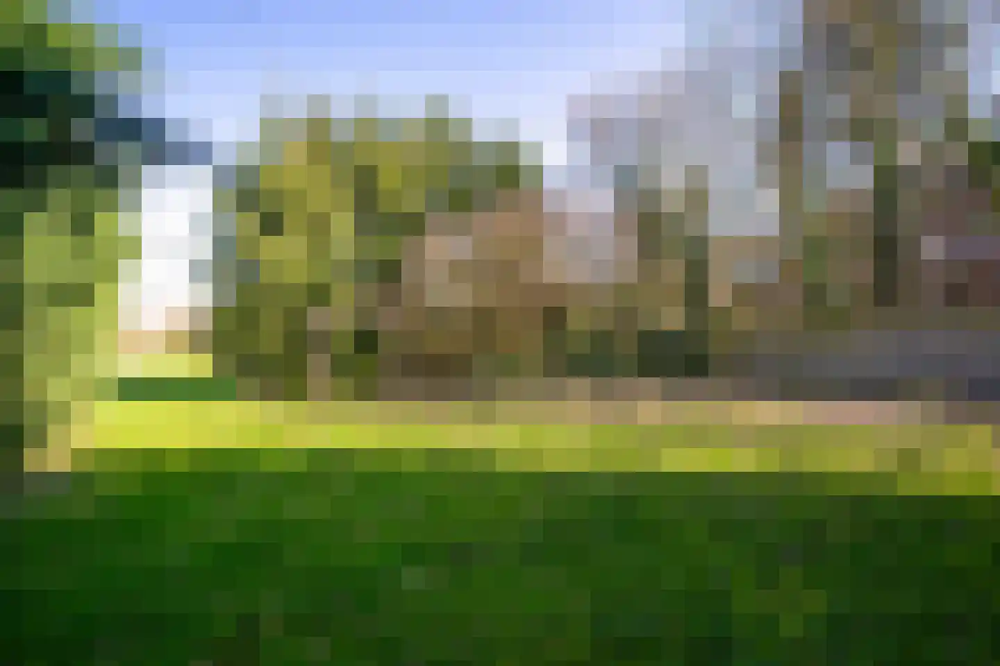 Groenewoudseweg 11 Cothen thumbnail 60