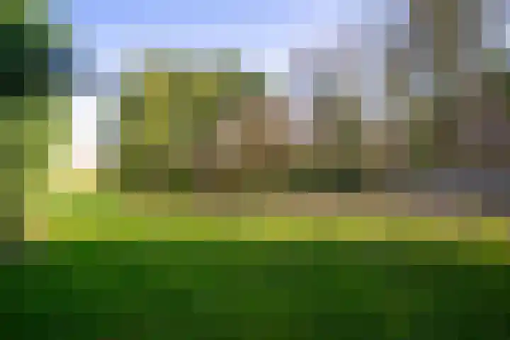 Groenewoudseweg 11 Cothen thumbnail 60