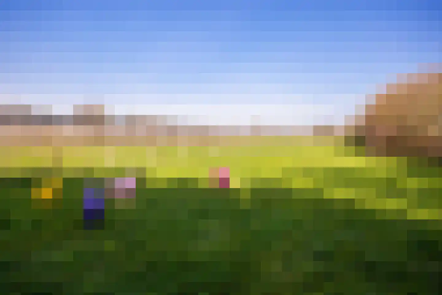 Groenewoudseweg 11 Cothen thumbnail 61