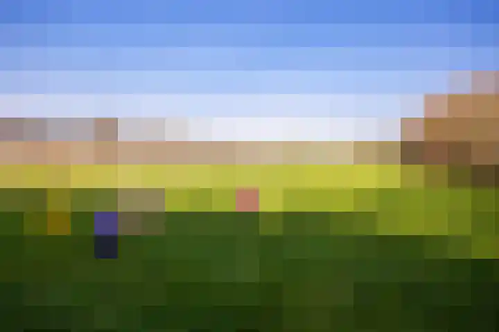 Groenewoudseweg 11 Cothen thumbnail 61