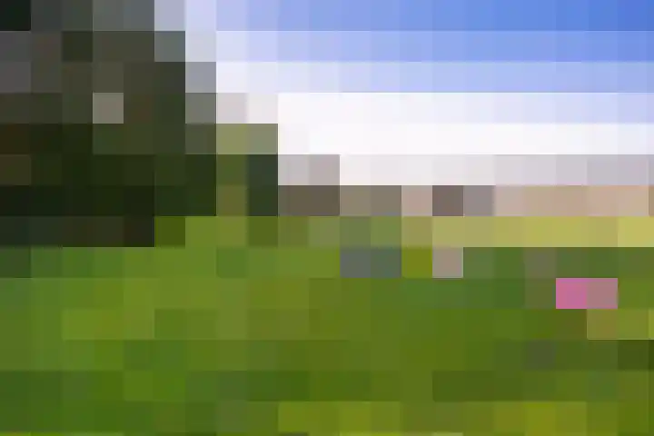 Groenewoudseweg 11 Cothen thumbnail 62