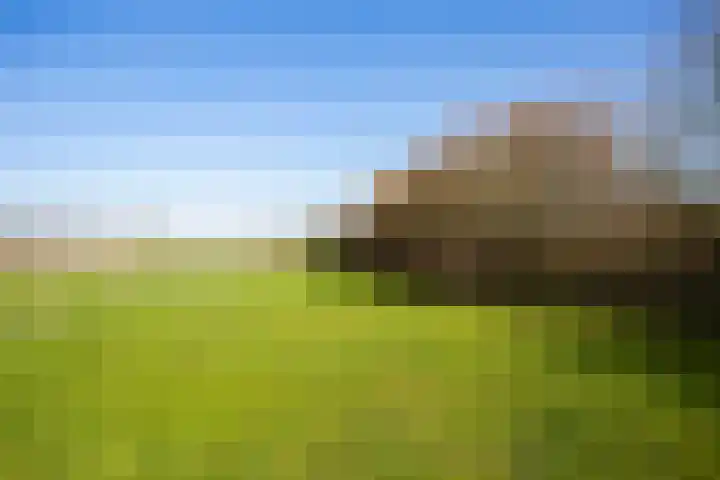 Groenewoudseweg 11 Cothen thumbnail 63