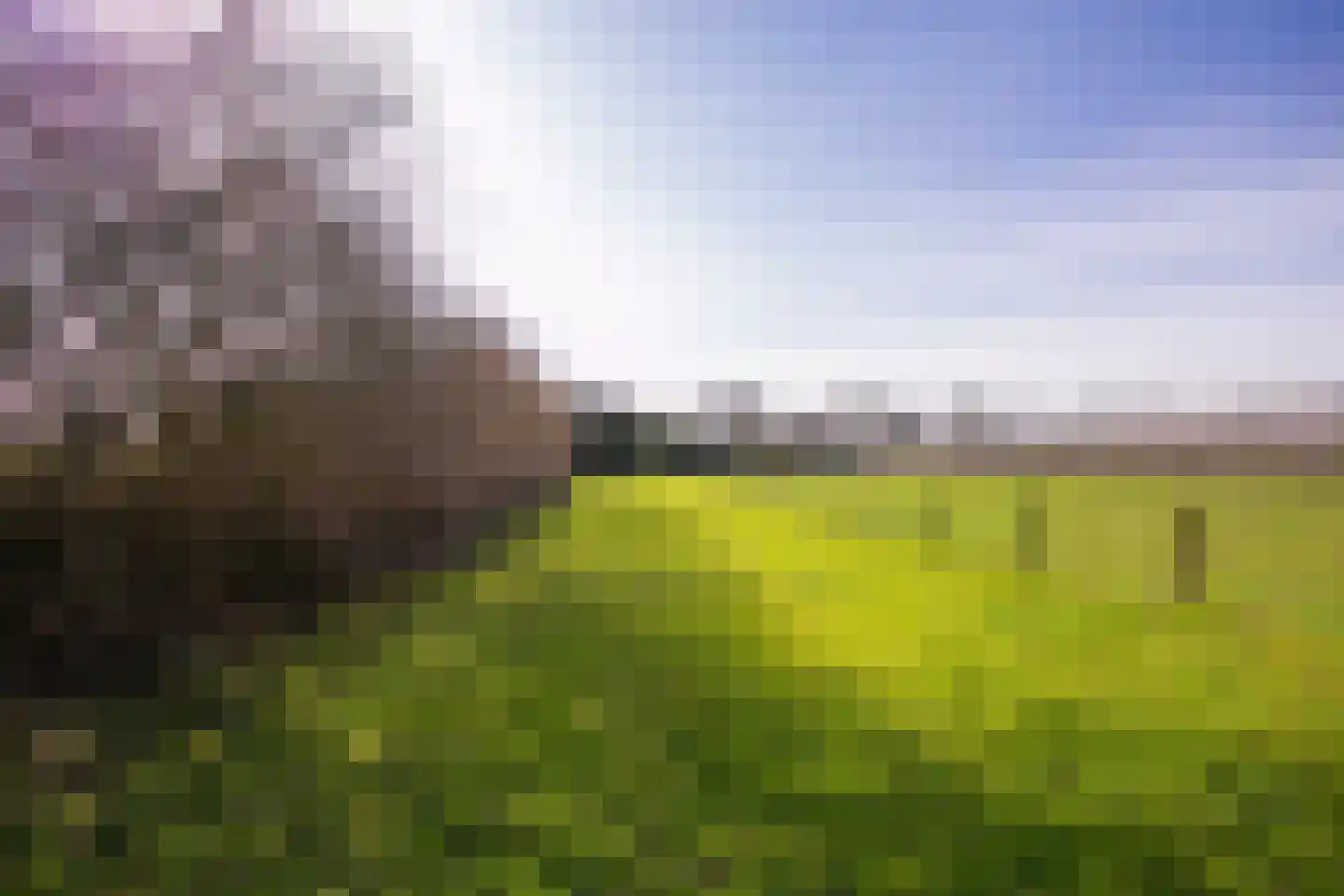 Groenewoudseweg 11 Cothen thumbnail 64