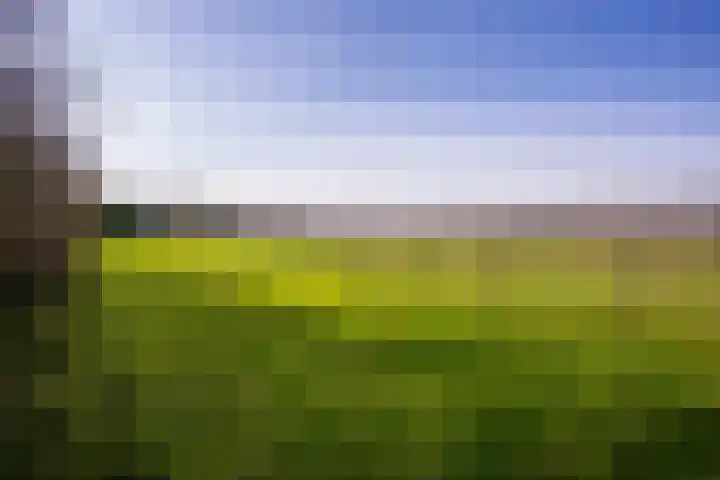 Groenewoudseweg 11 Cothen thumbnail 65