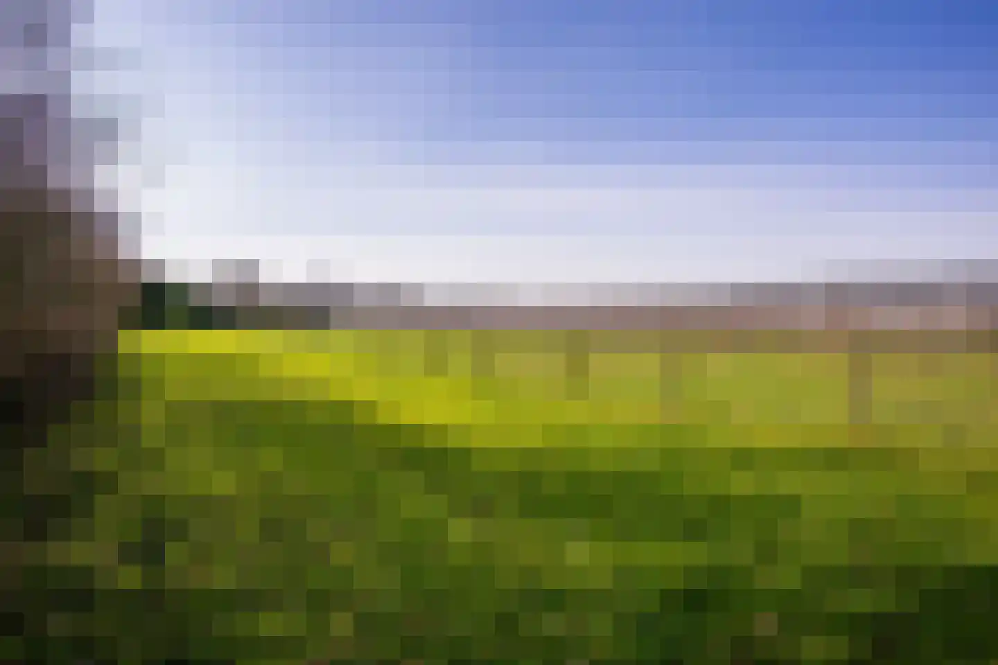 Groenewoudseweg 11 Cothen thumbnail 65