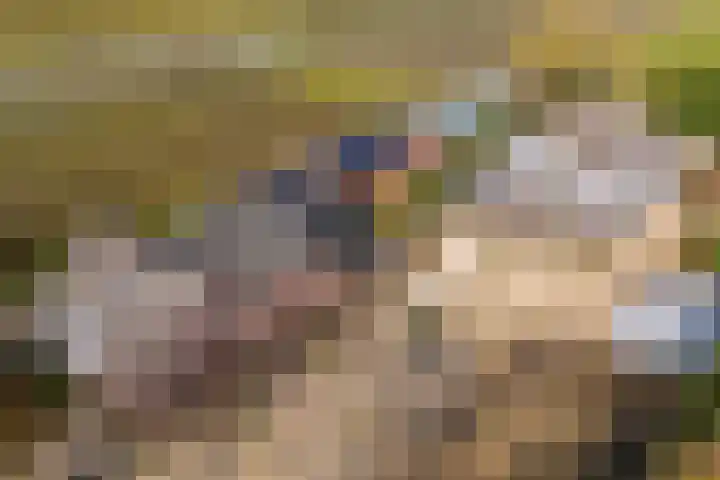 Groenewoudseweg 11 Cothen thumbnail 68
