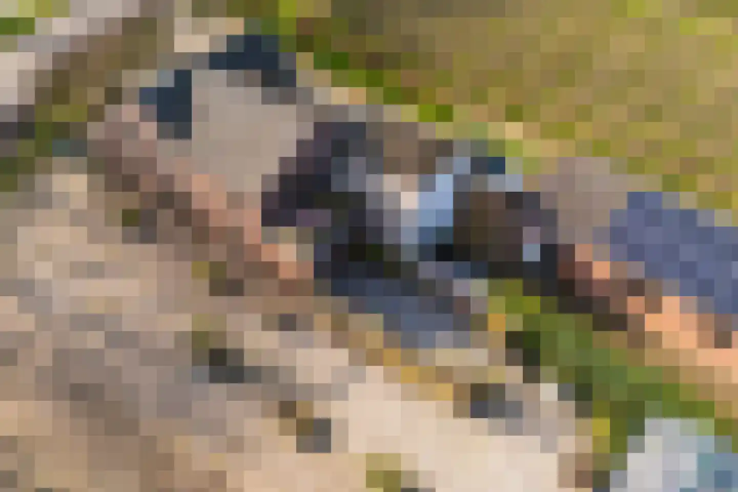 Groenewoudseweg 11 Cothen thumbnail 69