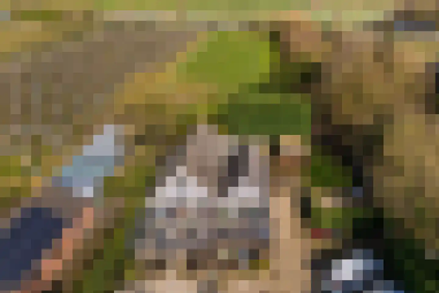 Groenewoudseweg 11 Cothen thumbnail 7