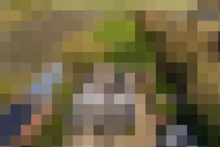 Groenewoudseweg 11 Cothen thumbnail 7