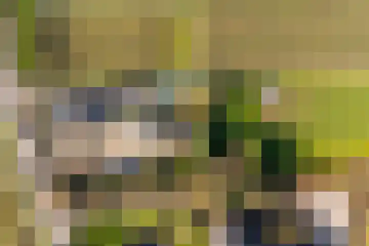 Groenewoudseweg 11 Cothen thumbnail 71