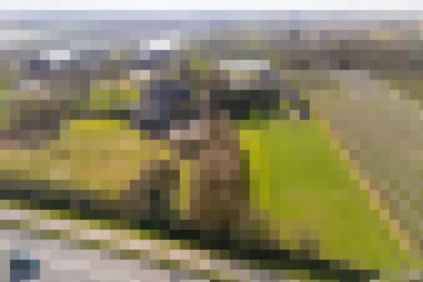 Groenewoudseweg 11 Cothen thumbnail 79