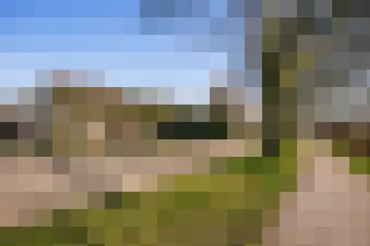 Groenewoudseweg 11 Cothen thumbnail 79