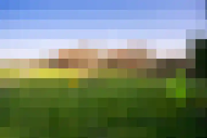 Groenewoudseweg 11 Cothen thumbnail 8