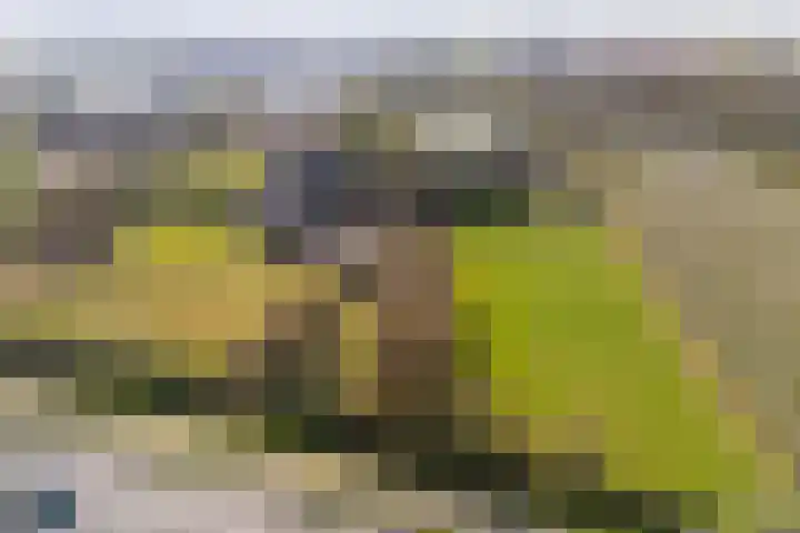 Groenewoudseweg 11 Cothen thumbnail 80