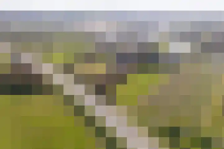 Groenewoudseweg 11 Cothen thumbnail 81