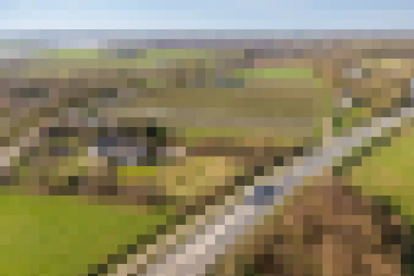 Groenewoudseweg 11 Cothen thumbnail 81