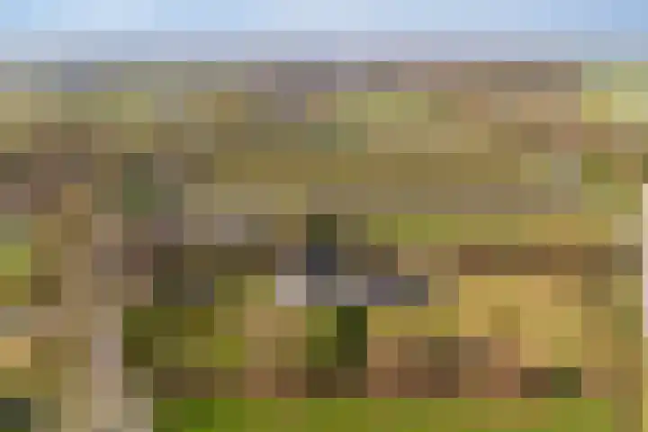 Groenewoudseweg 11 Cothen thumbnail 83