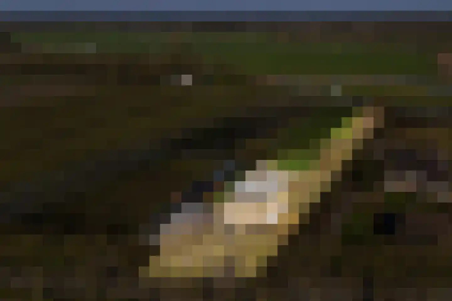 Groenewoudseweg 11 Cothen thumbnail 83