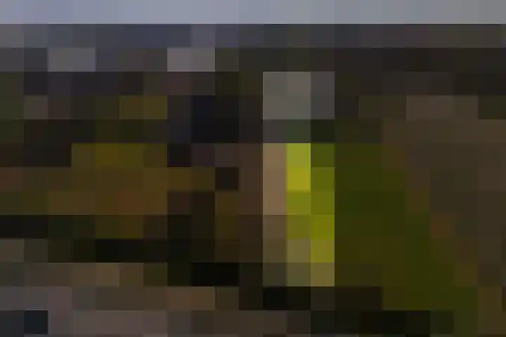 Groenewoudseweg 11 Cothen thumbnail 85