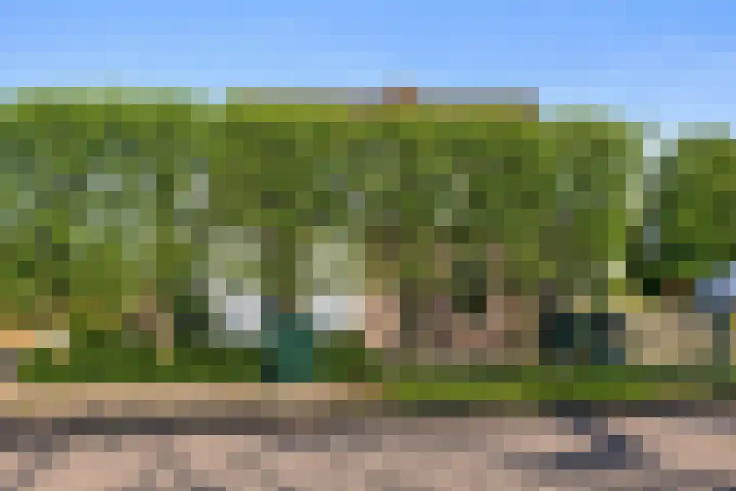 Groenewoudseweg 11 Cothen thumbnail 85
