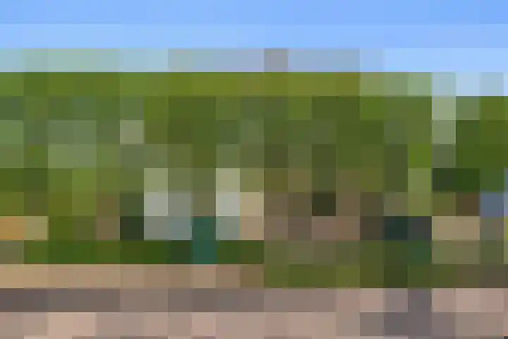 Groenewoudseweg 11 Cothen thumbnail 86
