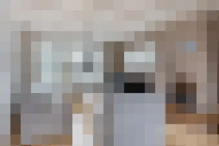 Groenewoudseweg 11 Wijchen thumbnail 8
