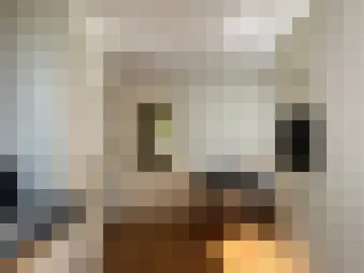 Groenewoudseweg 17 Wijchen thumbnail 5