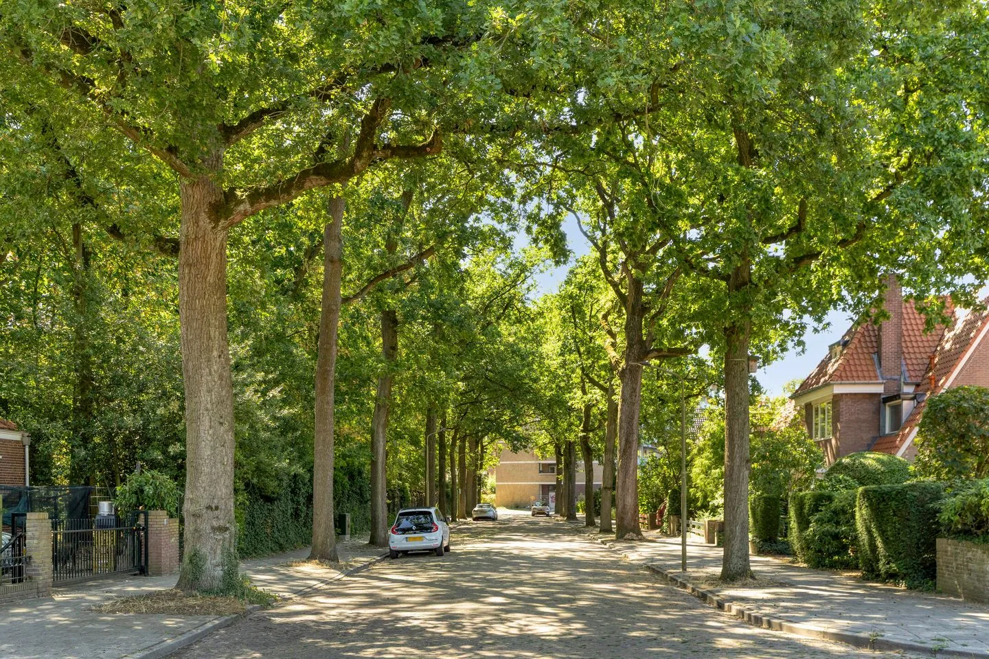 Groenewoudseweg 32 Nijmegen thumbnail 54