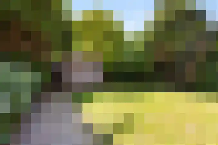 Groenewoudseweg 47 Nijmegen thumbnail 17