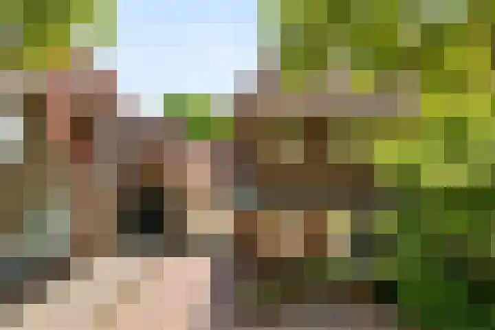 Groenewoudseweg 47 Nijmegen thumbnail 35