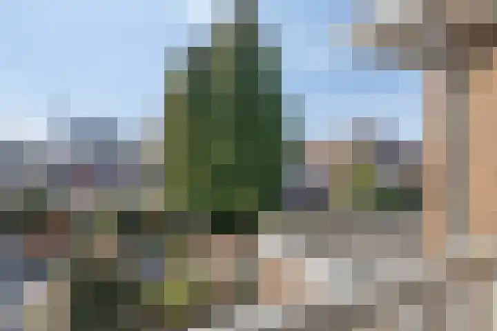 Groenewoudseweg 53 Nijmegen thumbnail 35