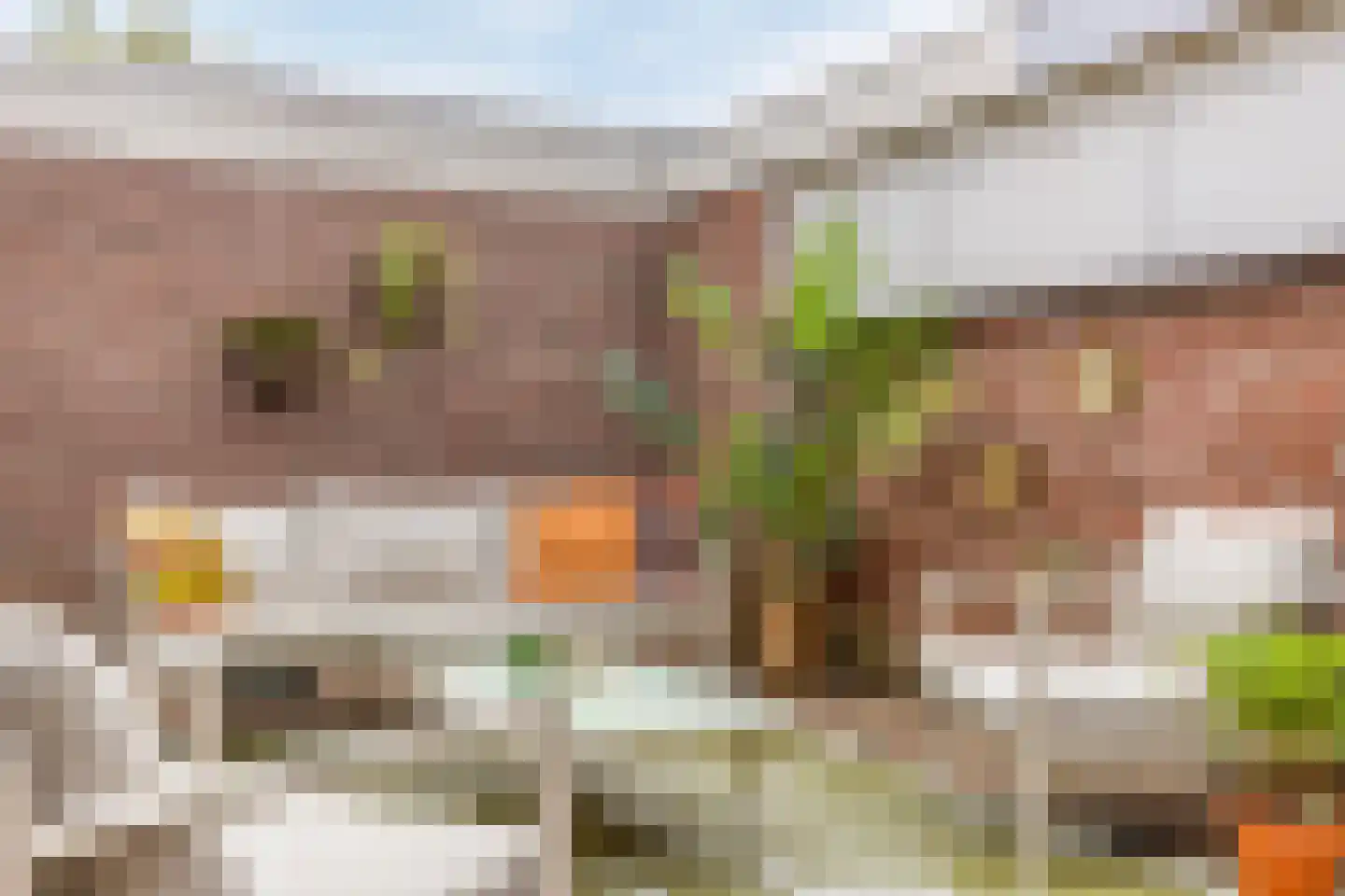 Groenewoudstraat 23 Horst thumbnail 37