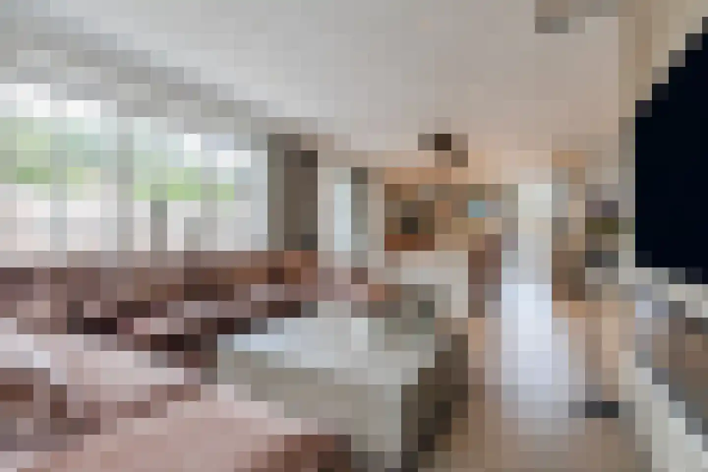Groenewoudstraat 29 Tilburg thumbnail 17